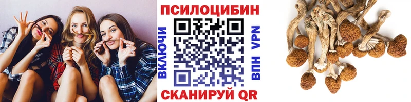 закладки  Муравленко  Псилоцибиновые грибы ЛСД 