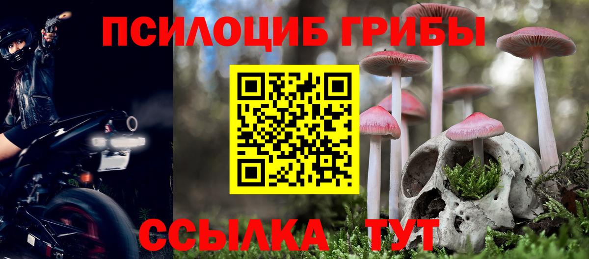 Галлюциногенные грибы MAGIC MUSHROOMS Муравленко